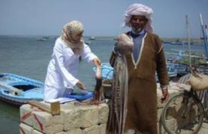 Tunisie, les secrets des pêcheurs de poulpes