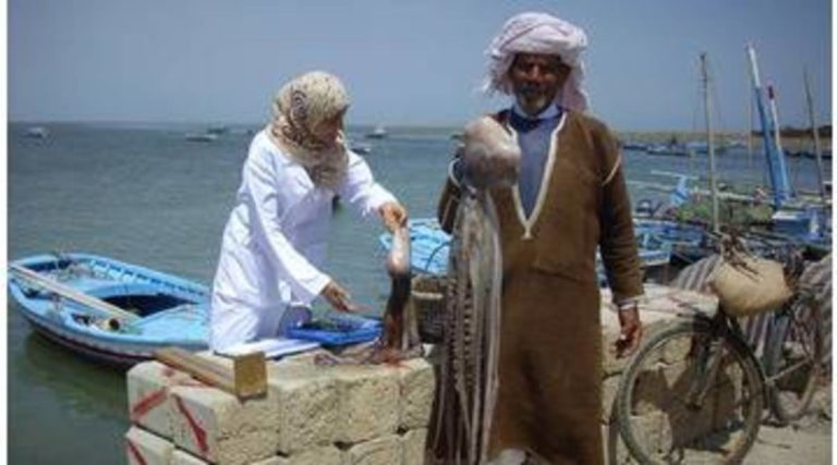 Tunisie, les secrets des pêcheurs de poulpes
