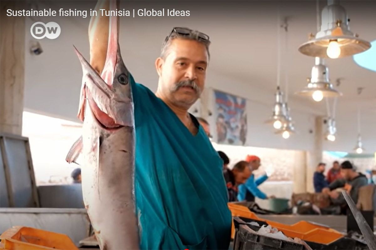 Sustainable fishing in Tunisia