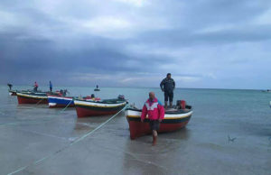 الصيد البحري العشوائي إلى أين؟