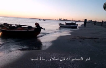 صيد الحبار السيبيا على الطريقة التقليدية في خليج قابس