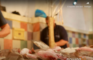 التونسي و حوت العيد