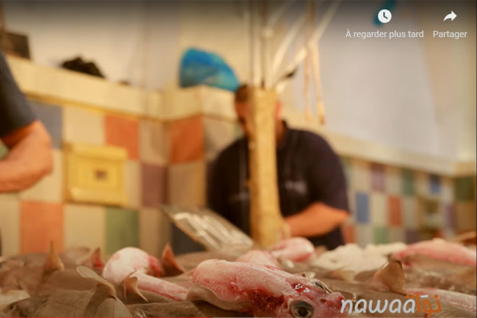 التونسي و حوت العيد