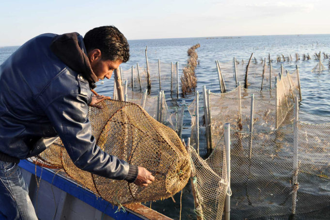 le Golfe de Gabés, qui sauvera la pépinière de la méditerranée ?
