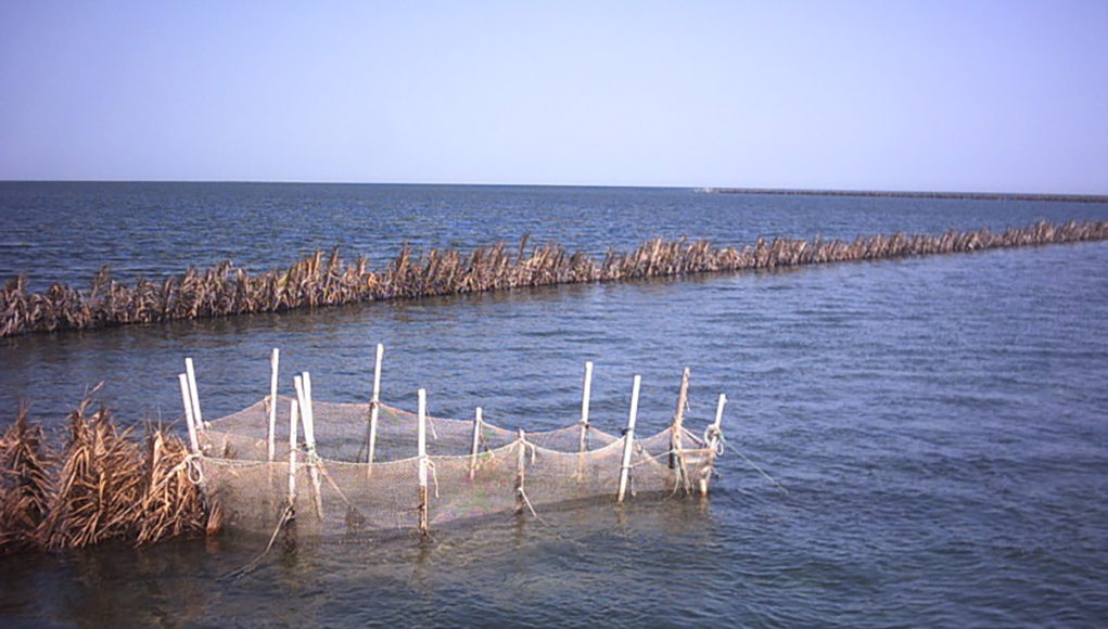 La Pêche en Tunisie : quel Gouvernance?