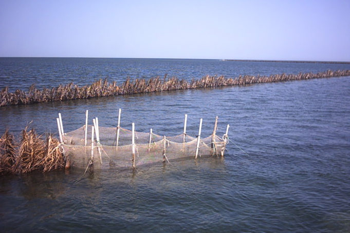 La Pêche en Tunisie : quel Gouvernance?