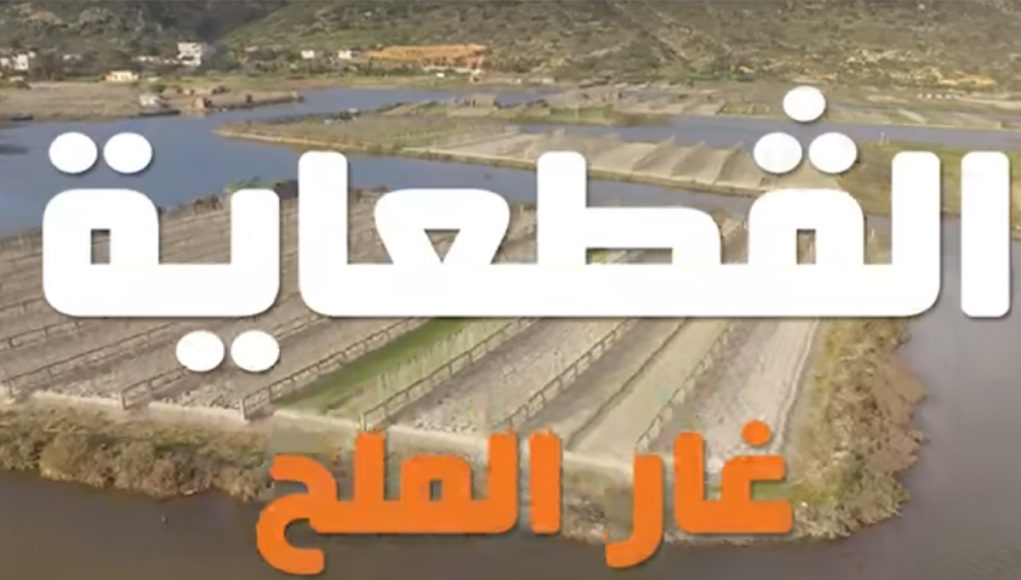 الڤطعاية في غار الملح