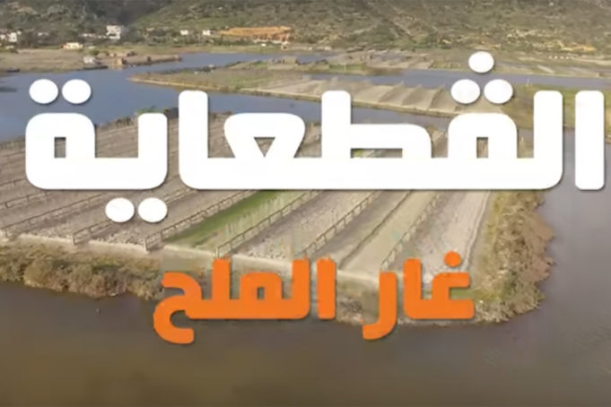 الڤطعاية في غار الملح