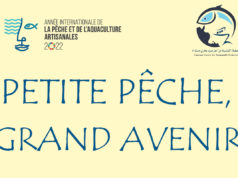 Petite pêche, grand avenir