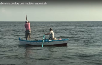 Tunisie : la pêche au poulpe, une tradition ancestrale