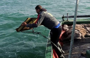 Le kiss prend-il le pouvoir ?