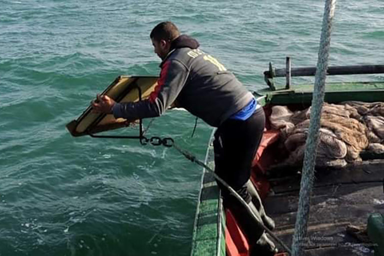 الكيس يأخذ السلطة ؟