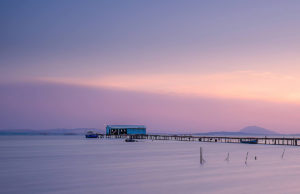 TUNISIA: Awareness, another card to play to clean up the lake of Bizerte
