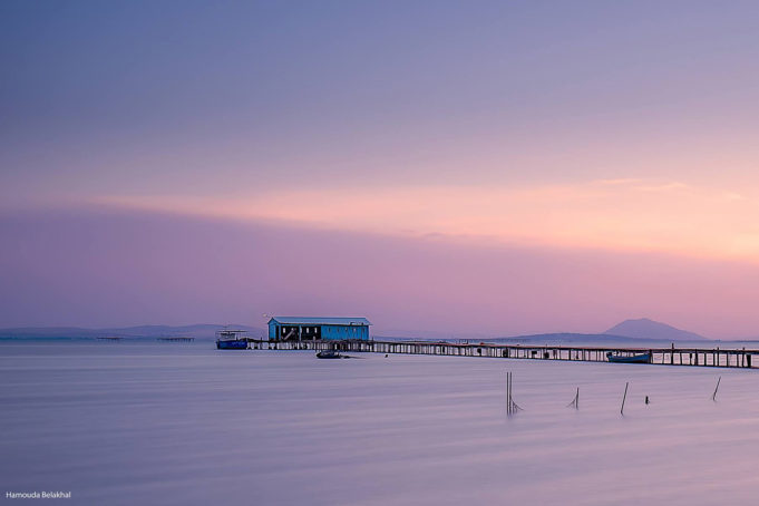 TUNISIA: Awareness, another card to play to clean up the lake of Bizerte