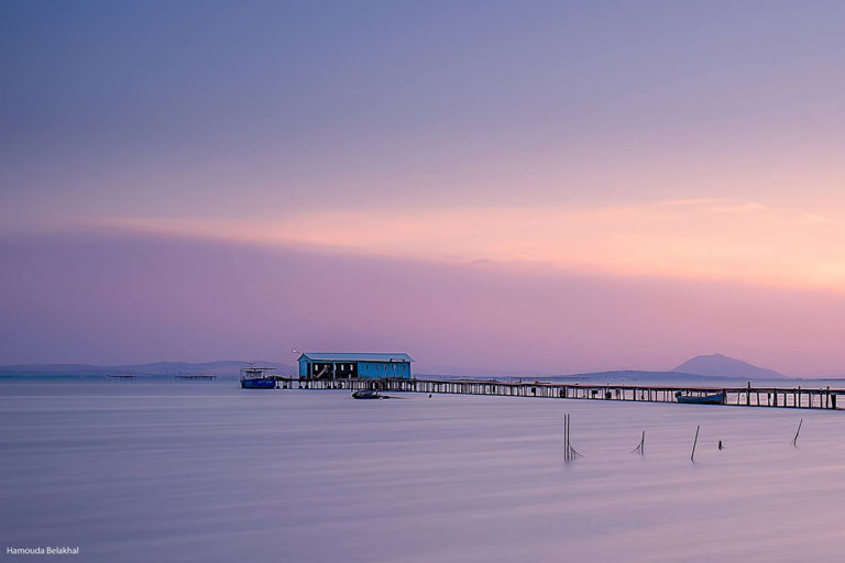 TUNISIA: Awareness, another card to play to clean up the lake of Bizerte