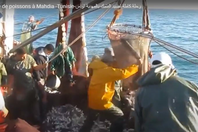La pêche au port de Mahdia Tunisie
