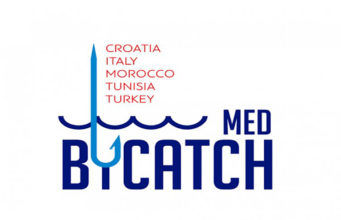 TUNIS SAVING DOLPHINS, SEA TURTLES AND OTHER VULNERABLE SPECIES THROUGH MedBycatch PROJECT