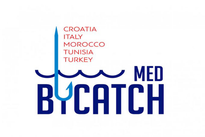 TUNISIE SAUVE LES DAUPHINS, LES TORTUES MARINES ET AUTRES ESPÈCES VULNÉRABLES GRÂCE AU PROJET MedBycatch