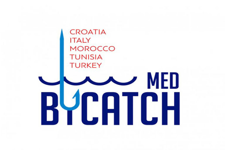 إنقاذ الدلافين والسلاحف البحرية والأنواع الأخرى المعرضة للخطر في تونس من خلال مشروع MedBycatch