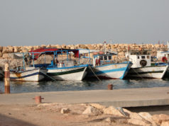 أين صوت مهنيي الصيد البحري التقليدي؟