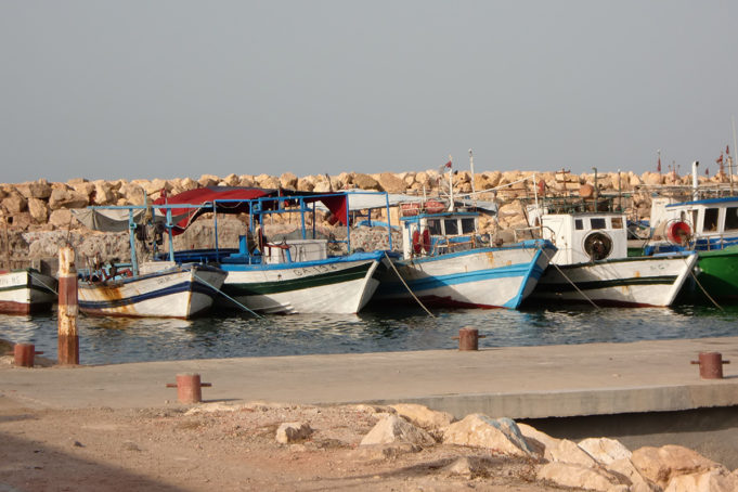 أين صوت مهنيي الصيد البحري التقليدي؟