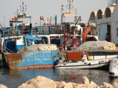 رفع مخالفة للصيد البحري : بداية أتعاب الإدارة أمام نقص الموارد البشرية