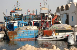 رفع مخالفة للصيد البحري : بداية أتعاب الإدارة أمام نقص الموارد البشرية