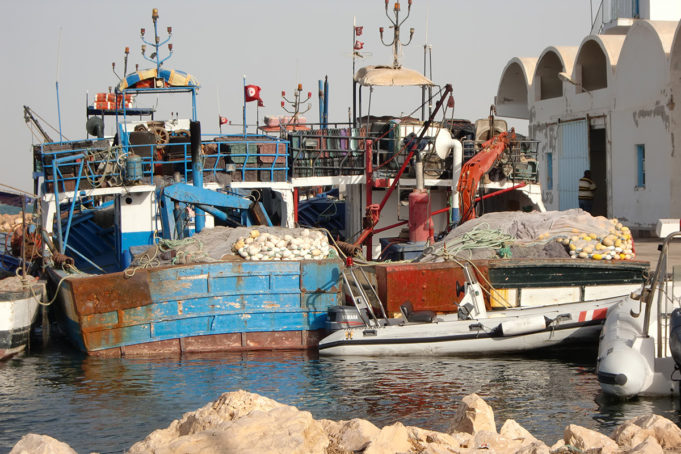 رفع مخالفة للصيد البحري : بداية أتعاب الإدارة أمام نقص الموارد البشرية