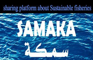 إطلاق موقعنا الجديد