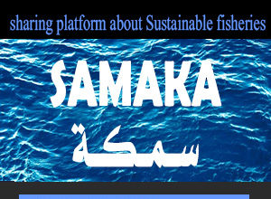 إطلاق موقعنا الجديد