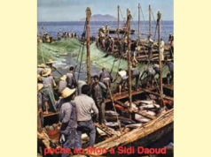 Tuna Fishing In Sidi Daoud Tunisia