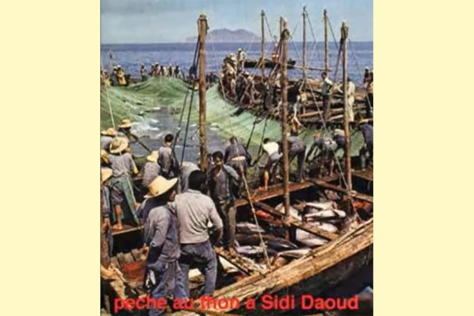 Tuna Fishing In Sidi Daoud Tunisia