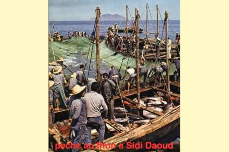 Tuna Fishing In Sidi Daoud Tunisia