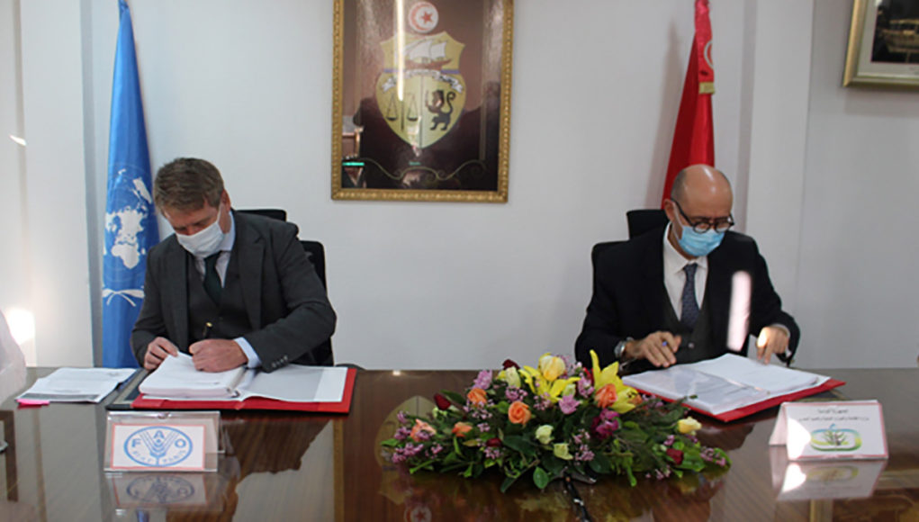 Tunisia and FAO ink accord for agriculture and fisheries