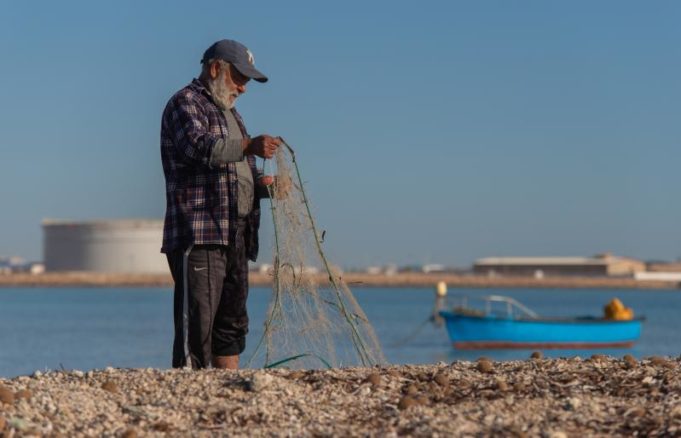Blue crab recovery : AlBahhar