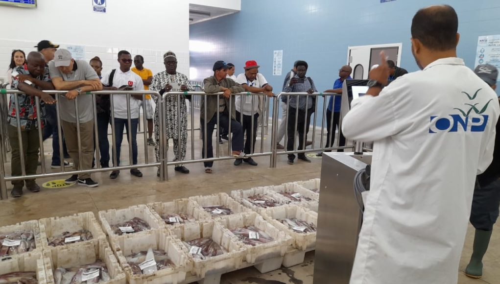 نقطة التفريغ المجهزة بايموران تحضى بإعجاب الإعلام الإفريقي