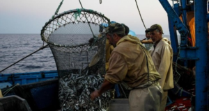 Ariana : Célébration de la Journée internationale pour la divers