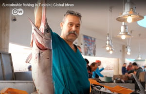 Sustainable fishing in Tunisia