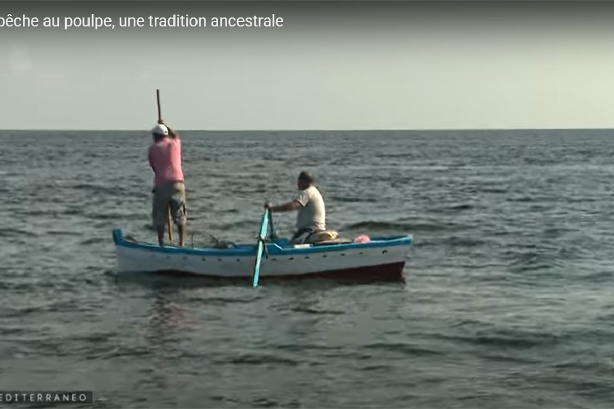 Tunisie : la pêche au poulpe, une tradition ancestrale