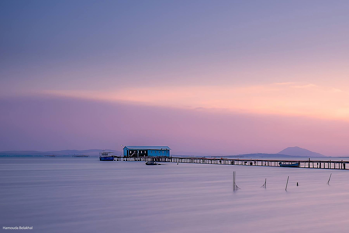 TUNISIA: Awareness, another card to play to clean up the lake of Bizerte