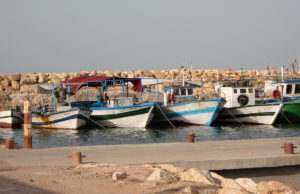 أين صوت مهنيي الصيد البحري التقليدي؟