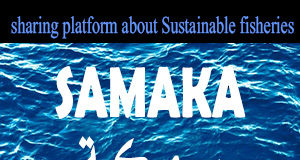 Launch of our new website