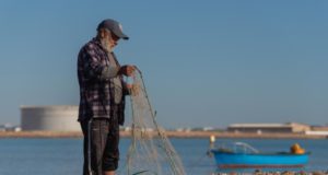 Blue crab recovery : AlBahhar